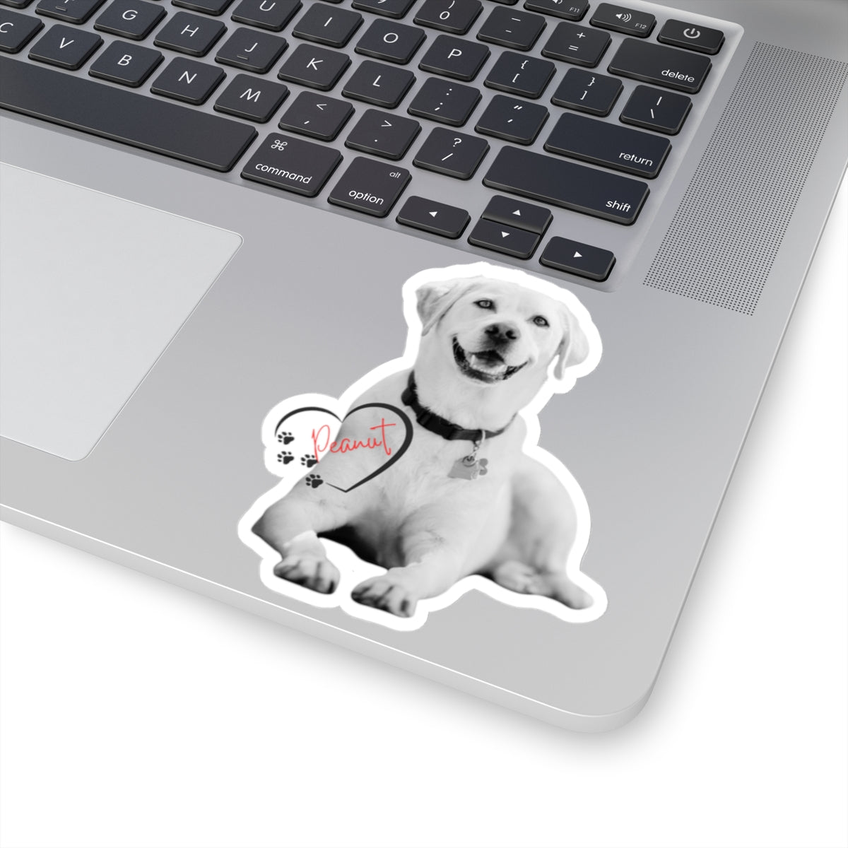 Custom Pet Sticker With Picture of Your Pet | Turn Your Color Pet Picture Into Black And White Sticker | Pet Name In Red | Name Is Inside Of A Heart | Pet Lover Sticker | Kiss-Cut Sticker