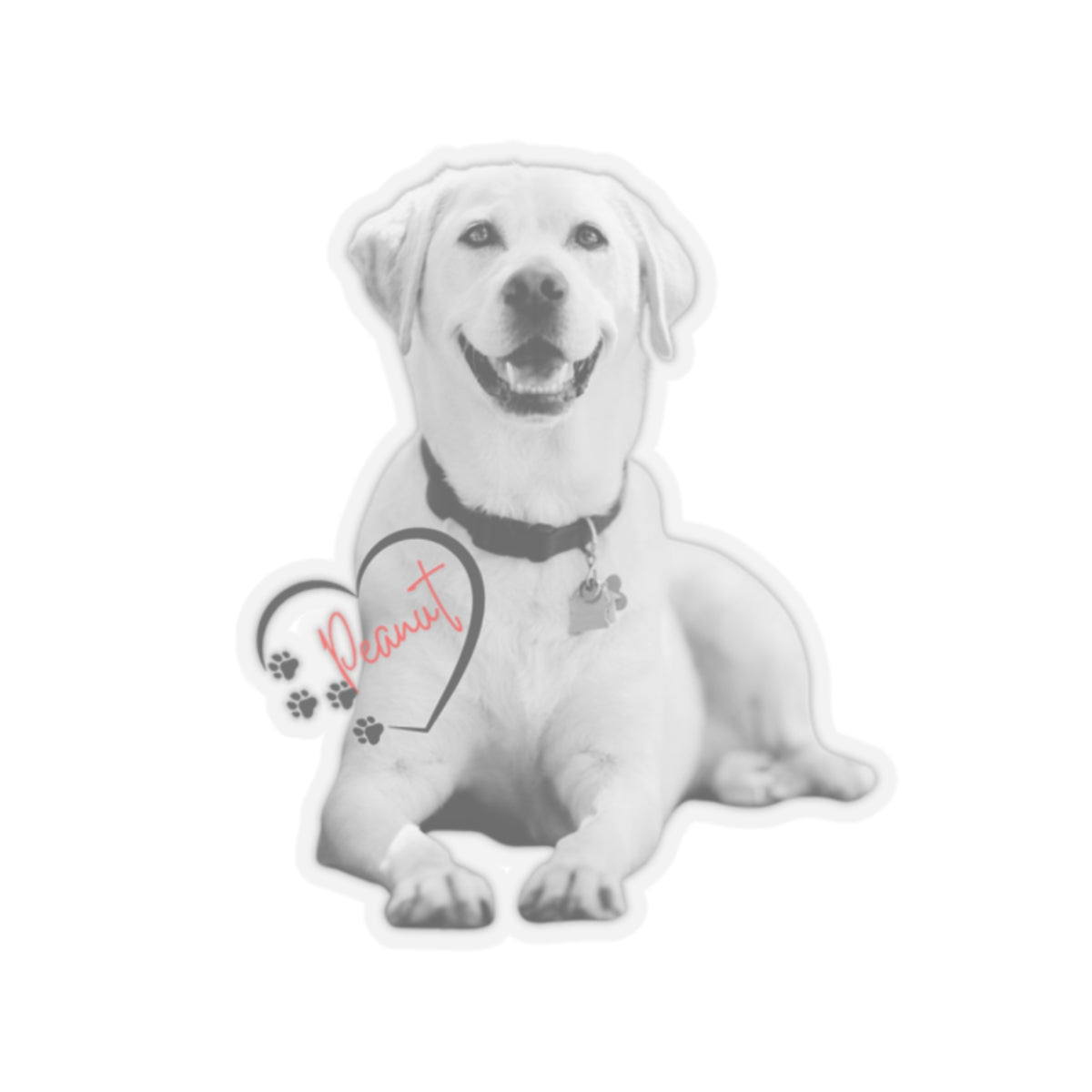 Custom Pet Sticker With Picture of Your Pet | Turn Your Color Pet Picture Into Black And White Sticker | Pet Name In Red | Name Is Inside Of A Heart | Pet Lover Sticker | Kiss-Cut Sticker