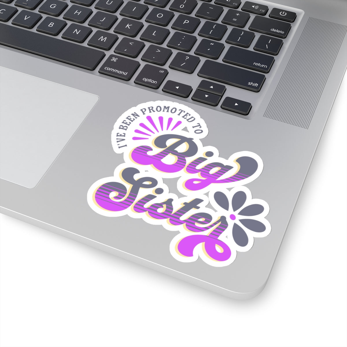 I've Been Promoted To Big Sister Sticker,  New Baby Sticker, Big Sister Announcement