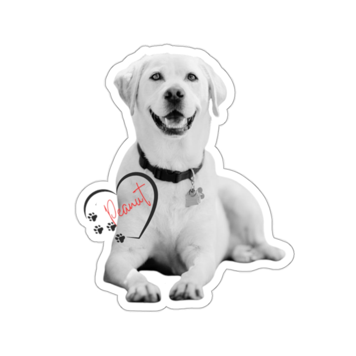 Custom Pet Sticker With Picture of Your Pet | Turn Your Color Pet Picture Into Black And White Sticker | Pet Name In Red | Name Is Inside Of A Heart | Pet Lover Sticker | Kiss-Cut Sticker